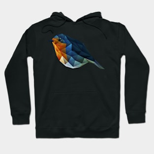 Low Poly Robin Hoodie